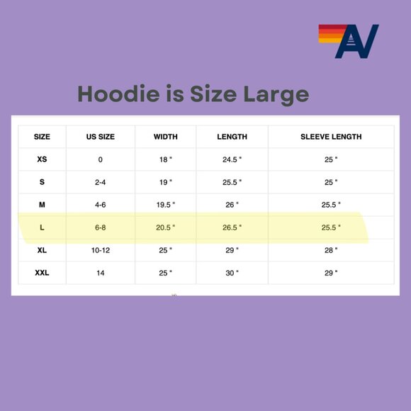 Aviator Nation Disco 7 Stripe Zip Up Hoodie - Heather Grey - Unisex Large - EUC - Picture 9 of 9